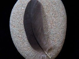 Renee Rhyner and Company