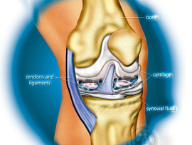 Nutri Health-ArthroZyne Illustration