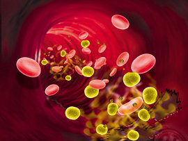 Nature Trade-OrFlora-Bacteria Entering Blood Stream