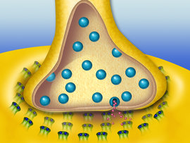 Madd Graphix, Inc.-Rothman Media Inc.-Synapse