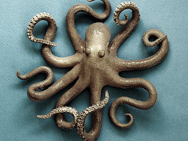 Renee Rhyner and Company