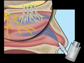 Sinus Function