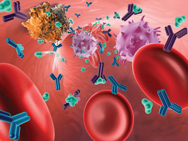 Antibody Drug Therapy against Cancer Cell in Blood