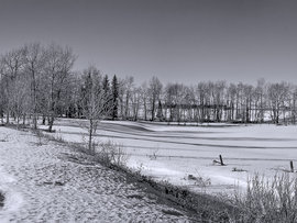 Following the Foot Prints Home