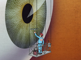 Washing the Windows to the Soul